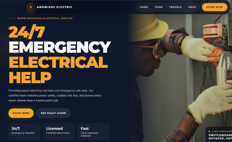 Andwiges Electric